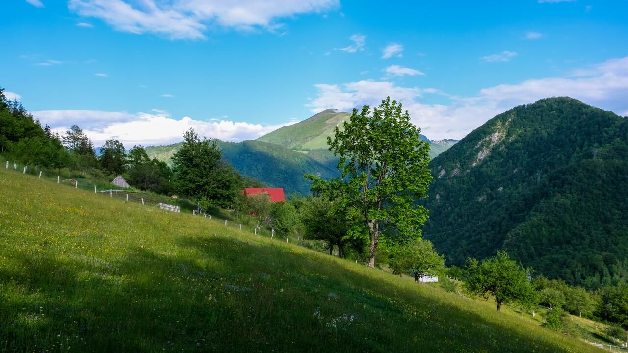 Апартаменты FERN FARM ECO RESORT Мойковац-32