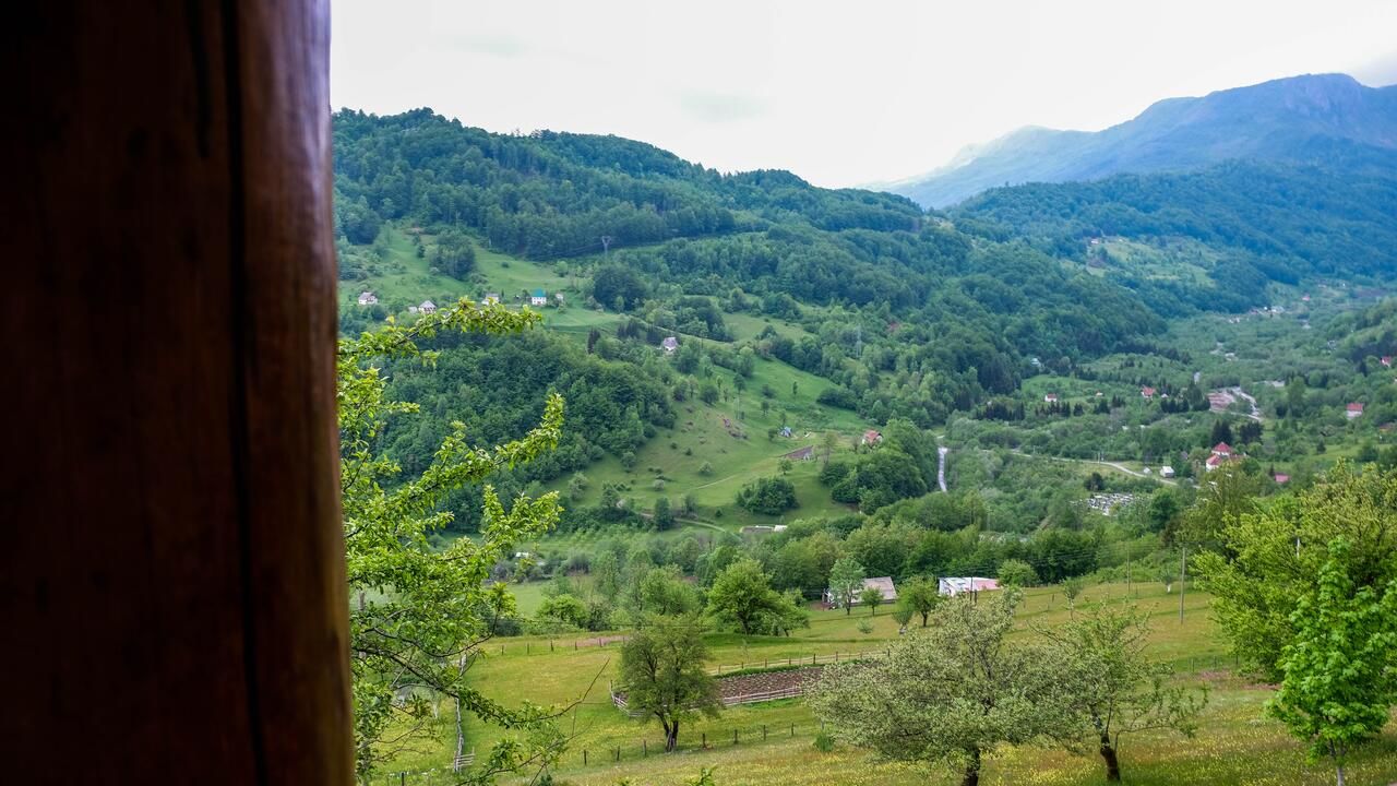 Апартаменты FERN FARM ECO RESORT Мойковац-44