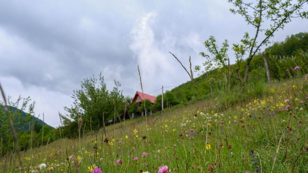 Апартаменты FERN FARM ECO RESORT Мойковац-74