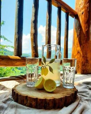 Апартаменты FERN FARM ECO RESORT Мойковац Апартаменты с 2 спальнями-102