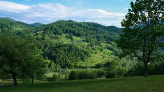 Апартаменты FERN FARM ECO RESORT Мойковац Апартаменты с 2 спальнями-23