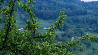 Апартаменты FERN FARM ECO RESORT Мойковац Апартаменты с 2 спальнями-25