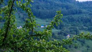 Апартаменты FERN FARM ECO RESORT Мойковац Апартаменты с 2 спальнями-50