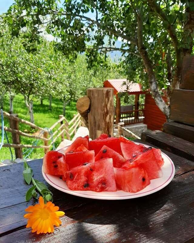 Апартаменты FERN FARM ECO RESORT Мойковац-14