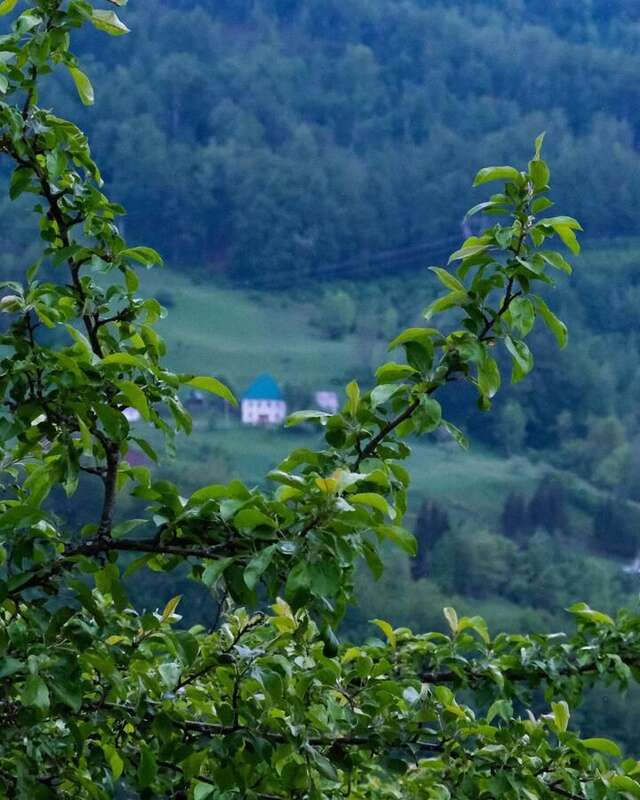 Апартаменты FERN FARM ECO RESORT Мойковац-29