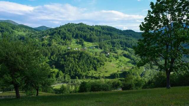 Апартаменты FERN FARM ECO RESORT Мойковац-50