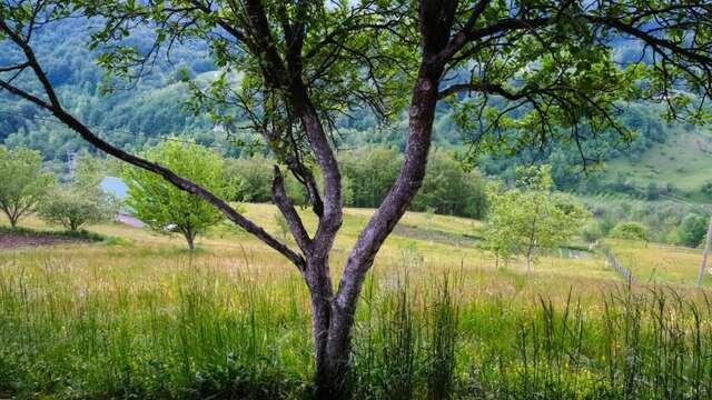 Апартаменты FERN FARM ECO RESORT Мойковац-70