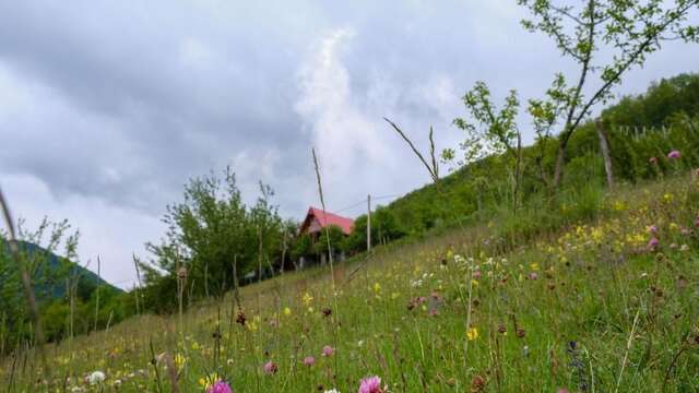 Апартаменты FERN FARM ECO RESORT Мойковац-73